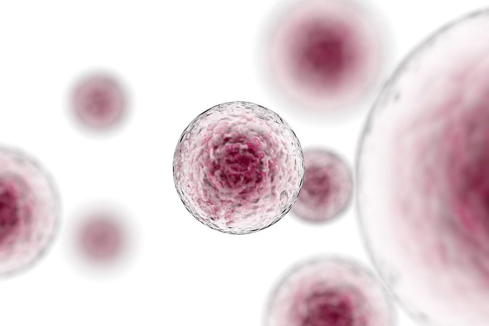 Understanding disease and finding novel treatments for triple-negative negative breast cancer with 3D cell culture 