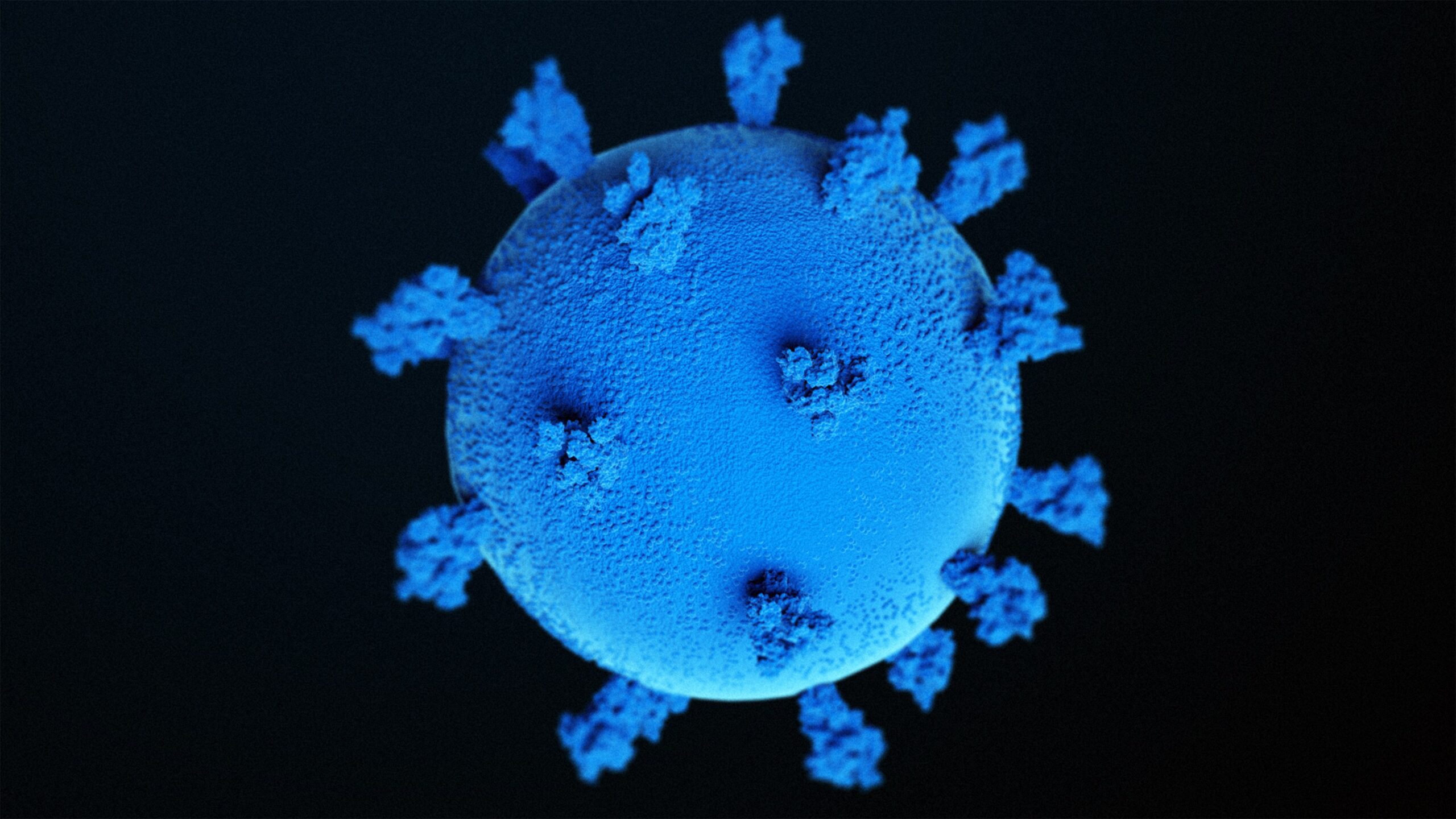 Blastoids mimic IVF-derived blastocysts when grown in a 3D environment