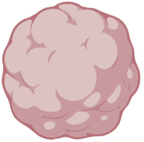 Brain organoids